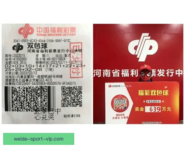 世界杯竞猜平台推荐与选择指南助你精准投注赢得大奖