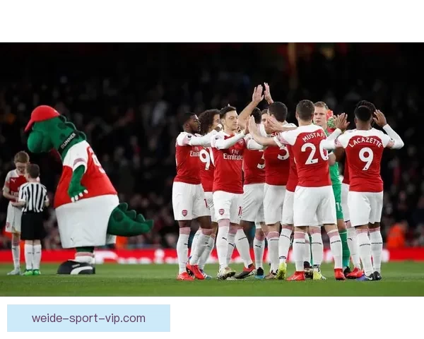 世界杯赛事预测分析及竞猜技巧全面解析，助你赢取丰厚奖金