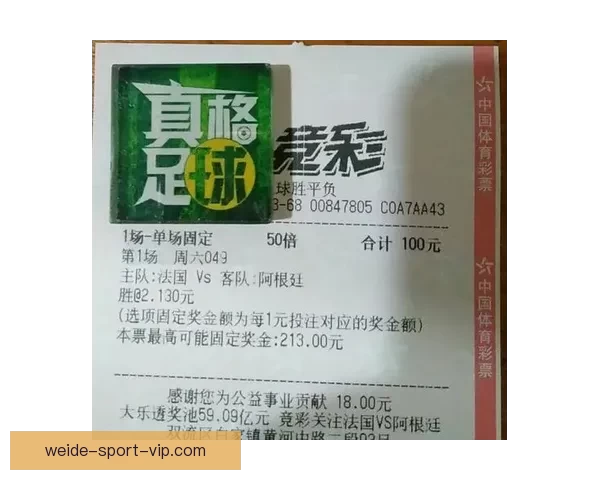 世界杯竞猜网站全攻略新手入门投注技巧与赛事预测深度解析指南