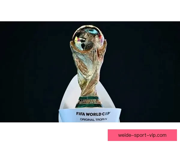 2026世界杯精彩回顾各队表现与冠军争夺全解析 2026世界杯精彩回顾各队表现与冠军争夺全解析